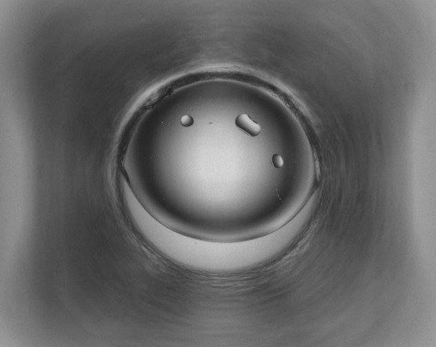 X0000111621319200907241022