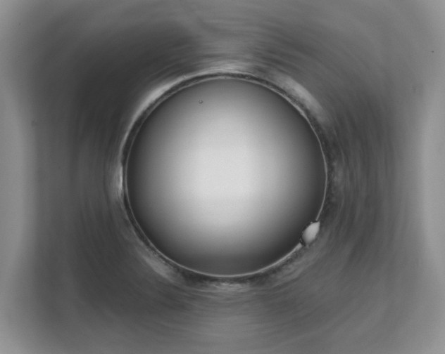 X0000111621324200907241022