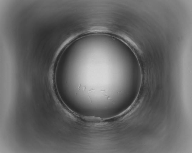 X0000111621325200907241022