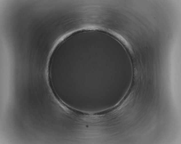 X0000111621327200907241022
