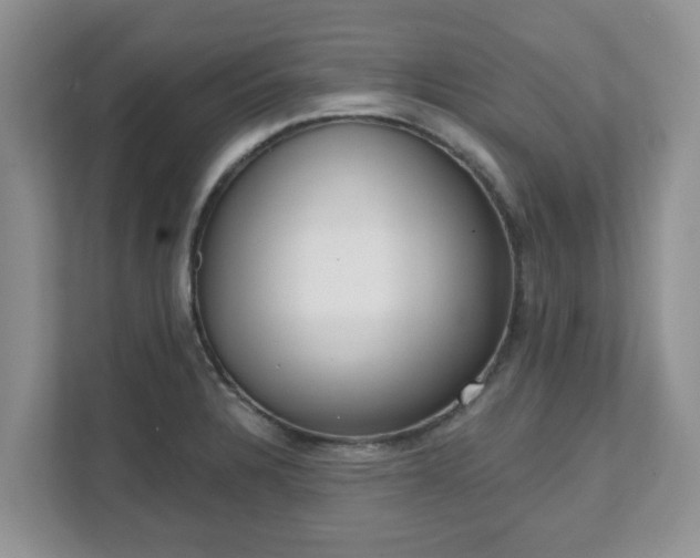 X0000111621328200907241022
