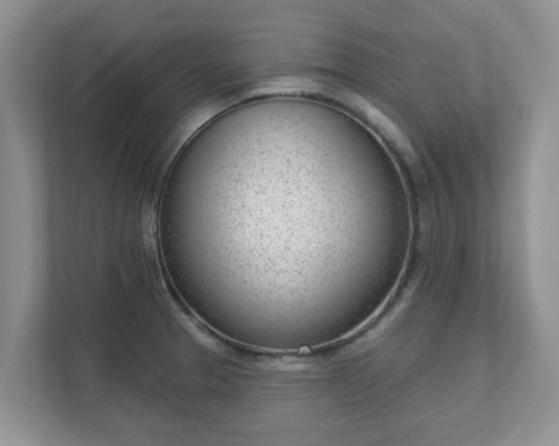 X0000111621329200907241022