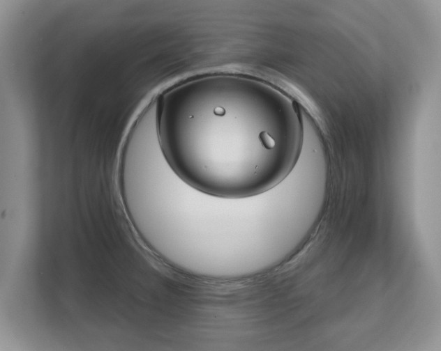X0000111621332200907241022