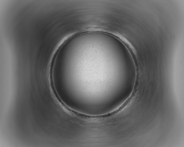X0000111621333200907241022