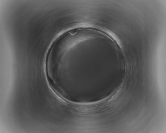 X0000111621334200907241022