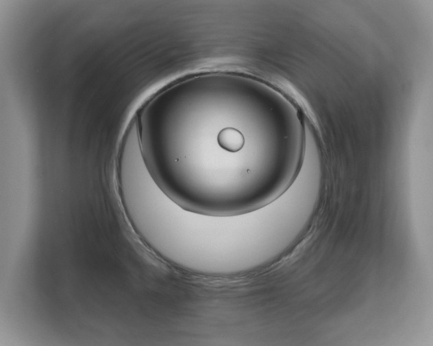 X0000111621336200907241022