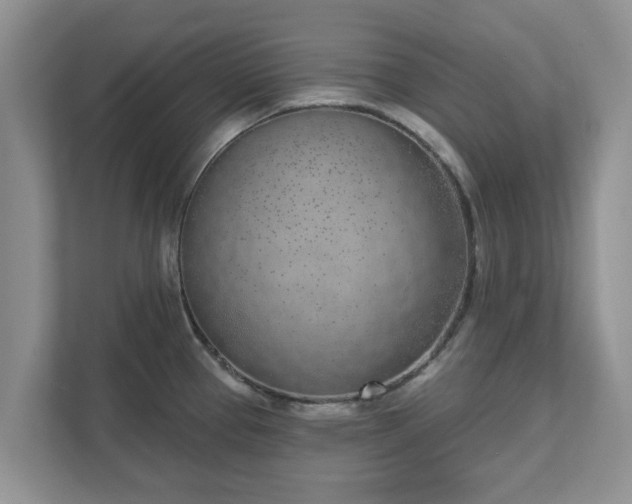 X0000111621337200907241022