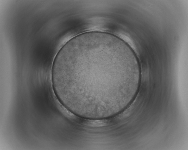 X0000111621338200907241022