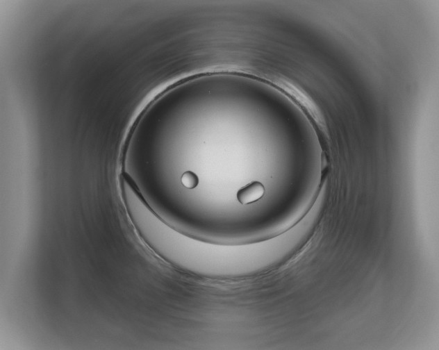 X0000111621340200907241022