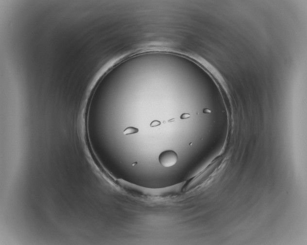 X0000111621341200907241022