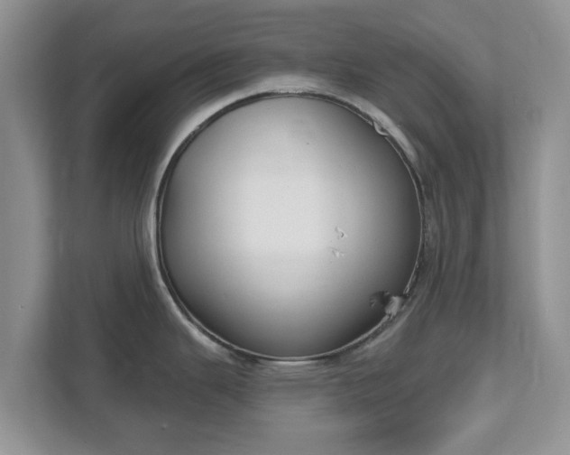 X0000111621343200907241022