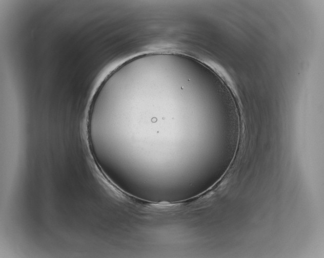 X0000111621344200907241022
