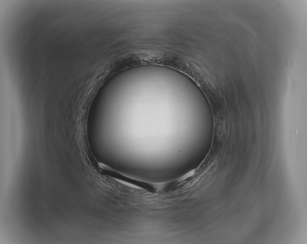 X0000111621345200907241021