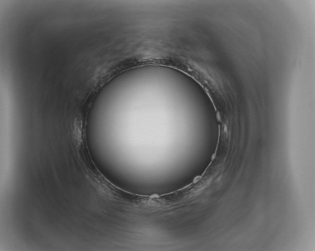 X0000111621348200907241021