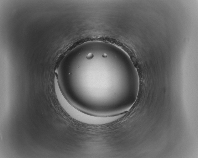 X0000111621349200907241021