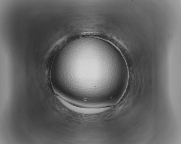 X0000111621351200907241021