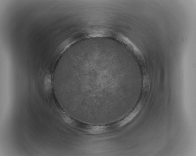 X0000111621353200907241021