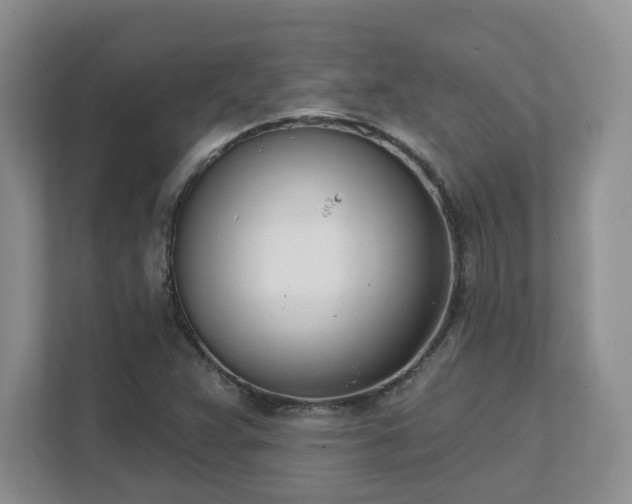 X0000111621359200907241021