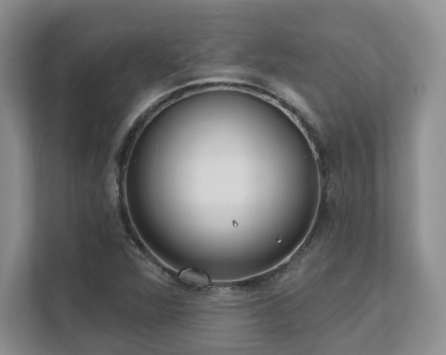 X0000111621360200907241021
