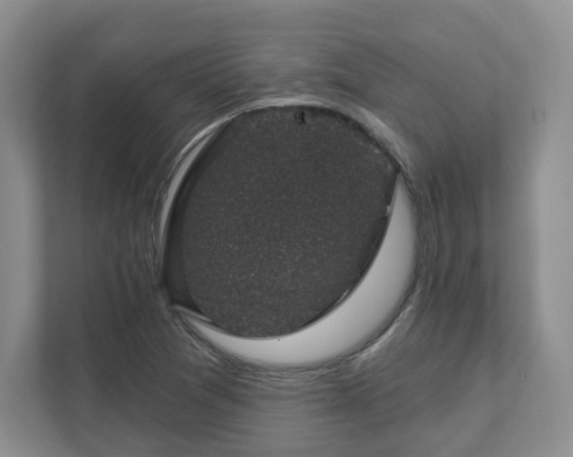 X0000111621361200907241021