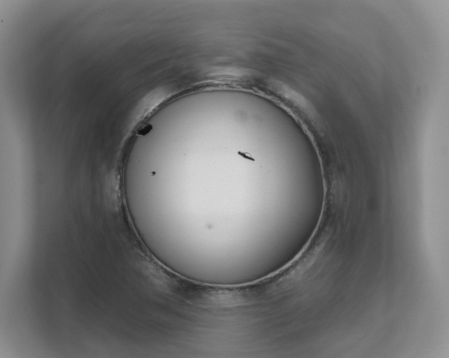 X0000111621362200907241021
