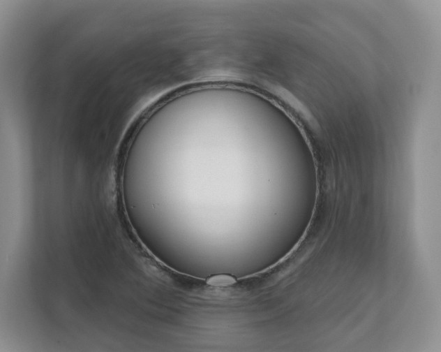 X0000111621364200907241021