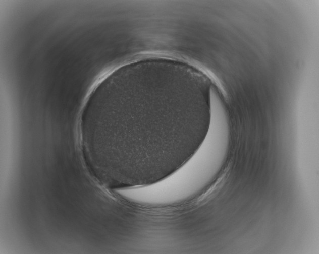 X0000111621365200907241021