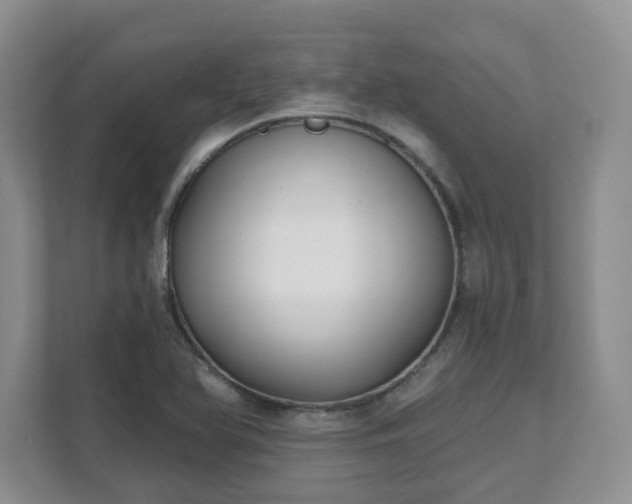 X0000111621366200907241021