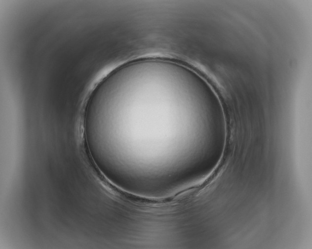 X0000111621367200907241021