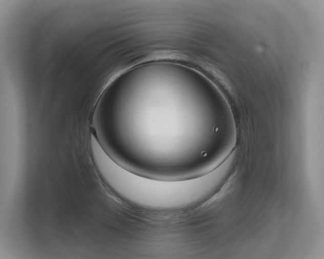 X0000111621369200907241021