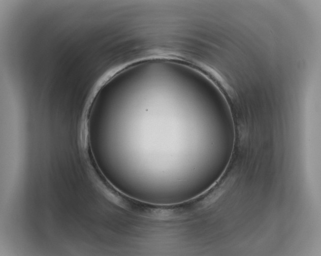 X0000111621371200907241021