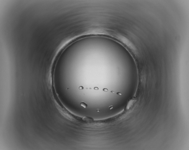 X0000111621372200907241021