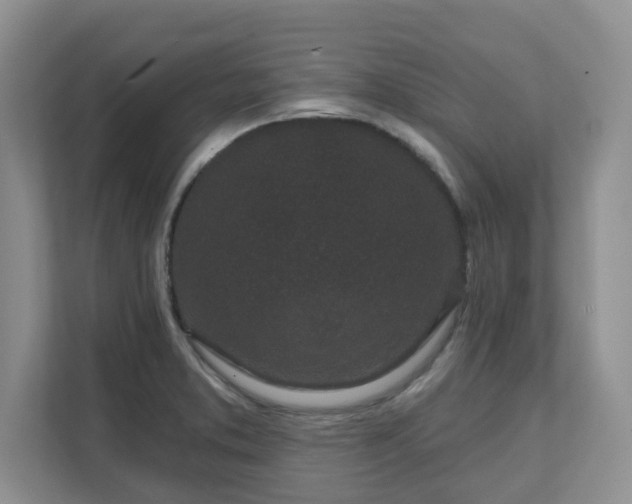 X0000111621373200907241021