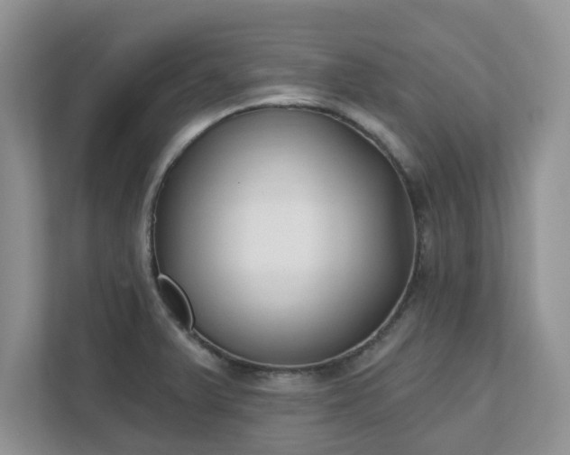 X0000111621375200907241021