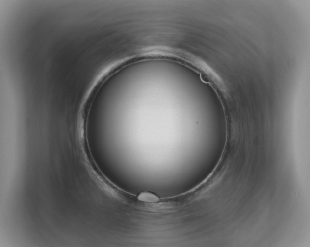 X0000111621376200907241021