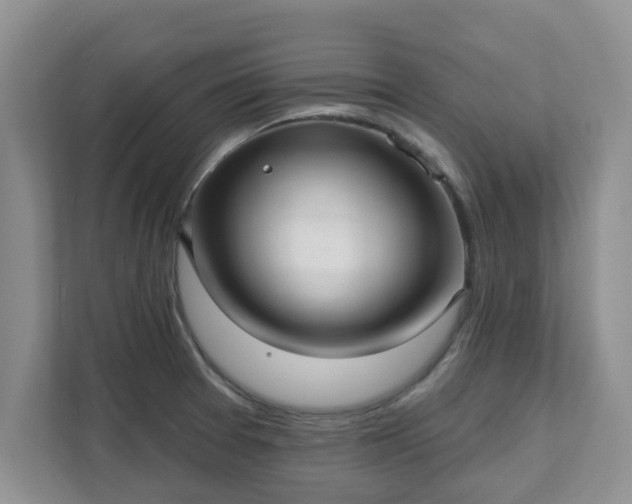 X0000111621377200907241021