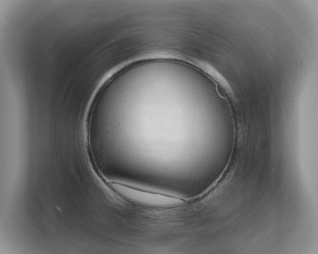 X0000111621380200907241021
