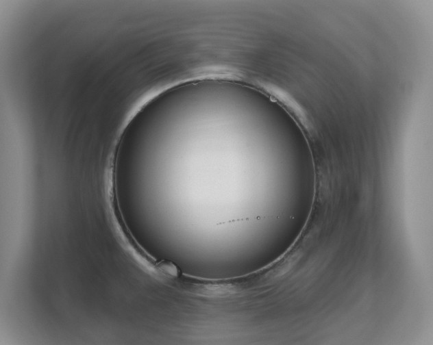X0000111621383200907241021