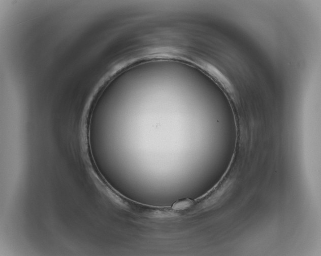 X0000111621384200907241021