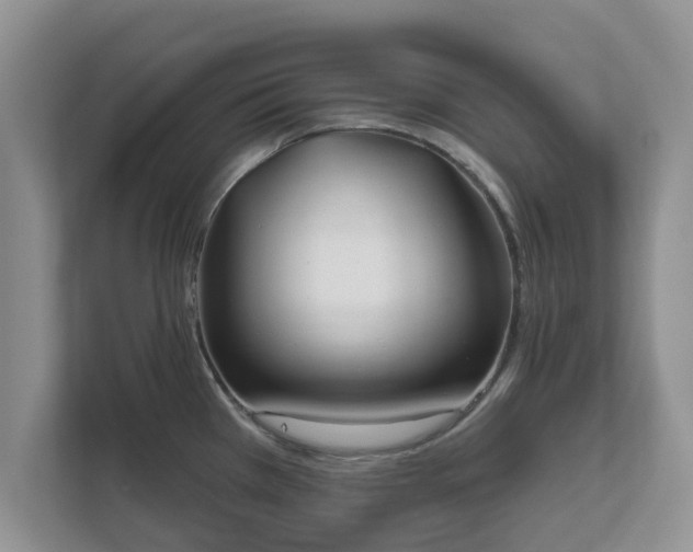 X0000111621385200907241021