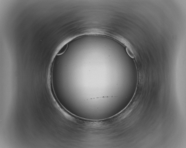 X0000111621387200907241021