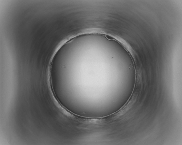 X0000111621390200907241021