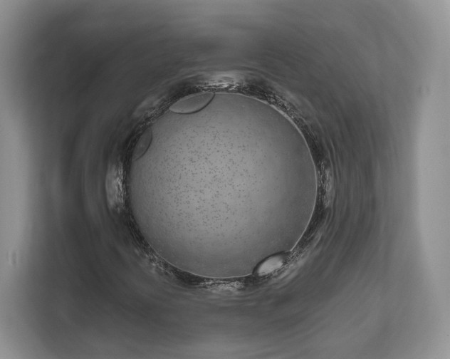 X0000111621394200907241020