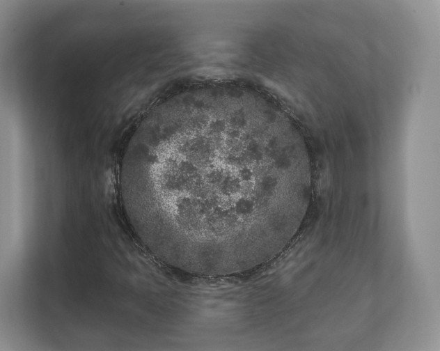 X0000111621397200907241020