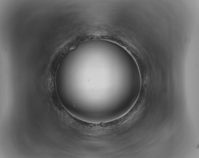 X0000111621398200907241020