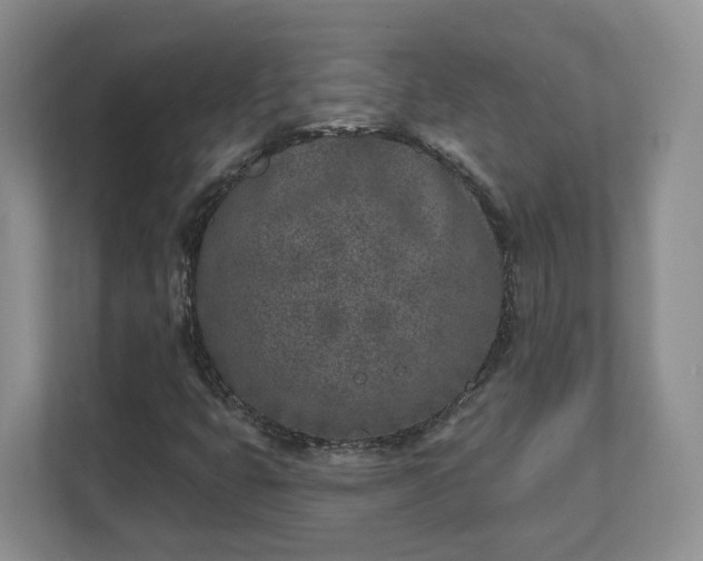 X0000111621399200907241020