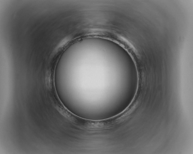 X0000111621403200907241020
