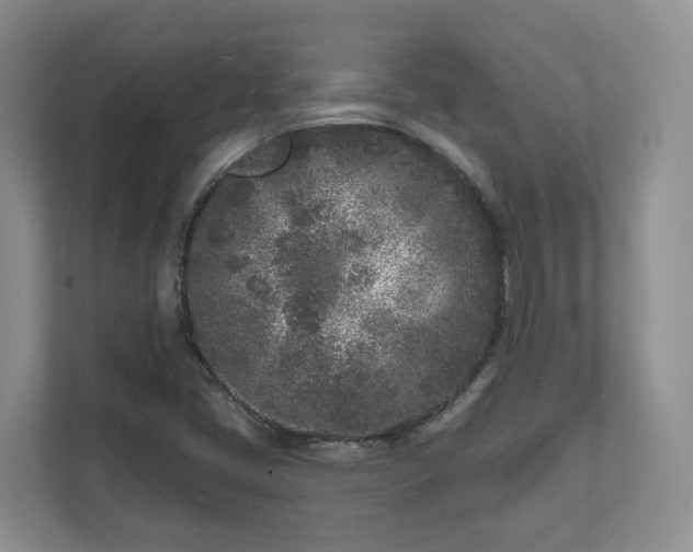 X0000111621405200907241020