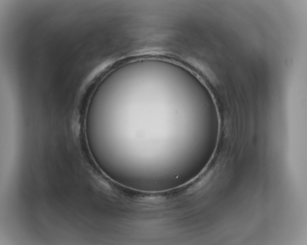 X0000111621406200907241020