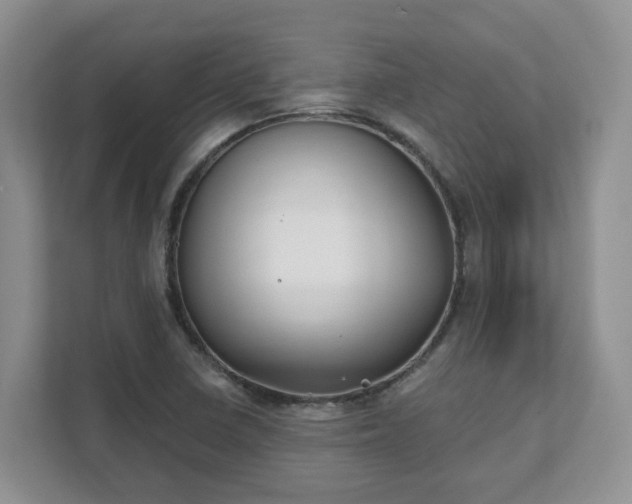 X0000111621410200907241020